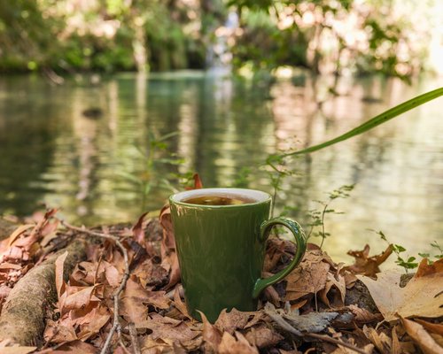 serene person enjoying morning coffee in nature