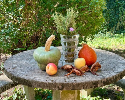 varied organic nuts and fruits on a wooden table